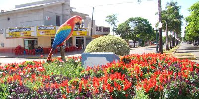 DSC01950