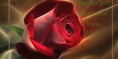 Rosa-especial