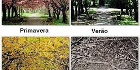 aabesta