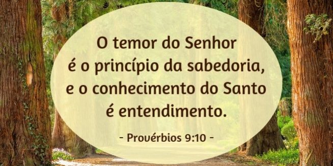 provei_rbios_9_10