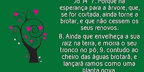 images (1)