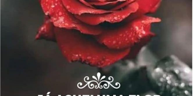 flor