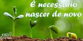 nascer
